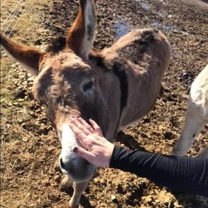 Meet your Posher, Holly